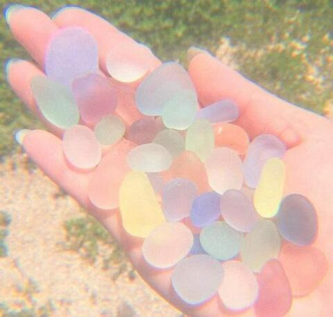 Header of anniela