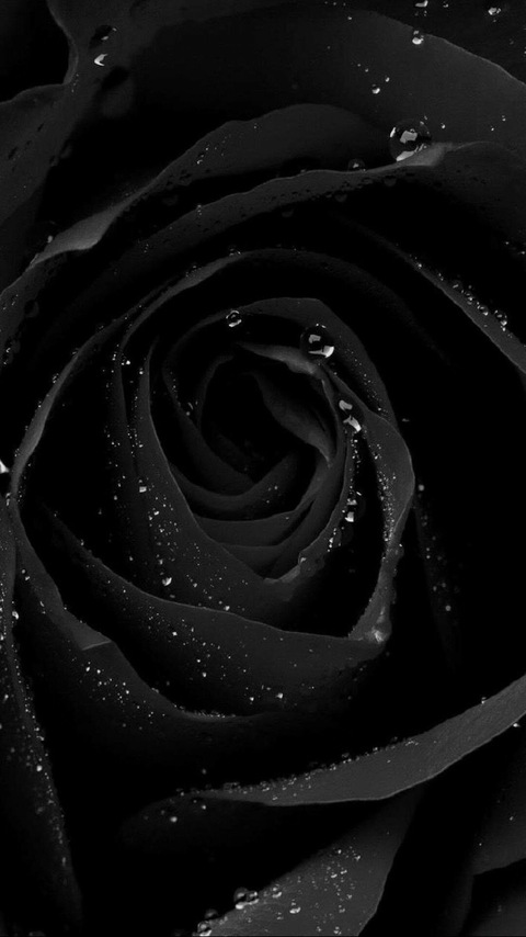 Header of arielm1994