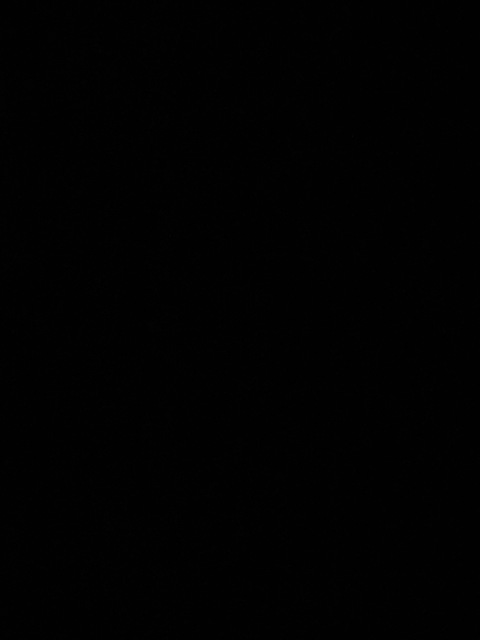 bisexualking6.9 onlyfans leaked picture 2