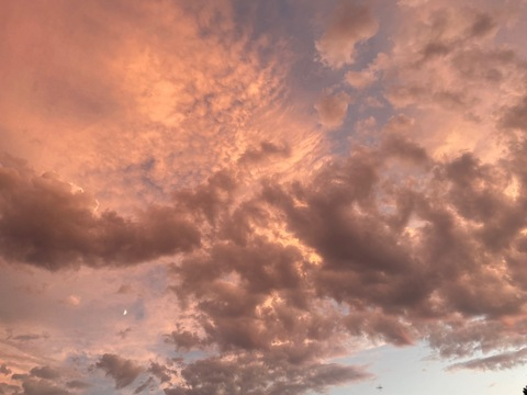 Header of brontitty