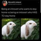 View bunnybums OnlyFans videos and photos for free 

 profile picture