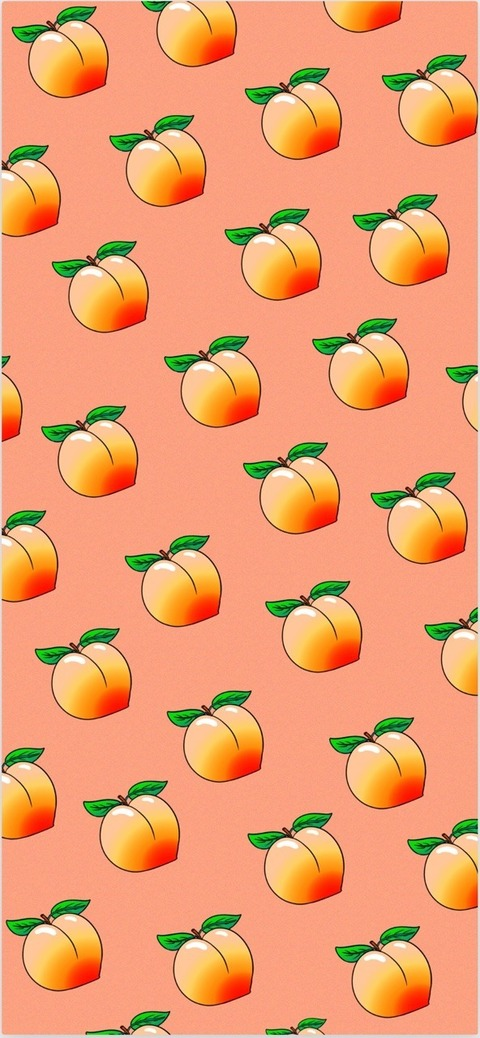 Header of cantaloupexo