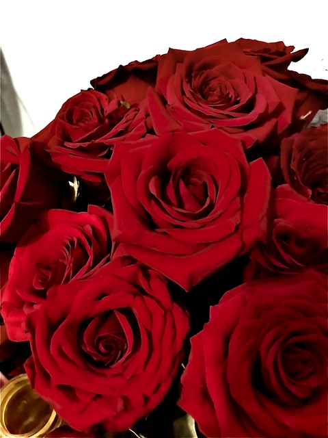 Header of evaabi