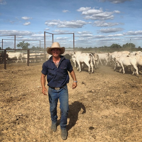friendlylocalcowboy onlyfans leaked picture 2