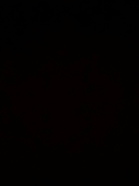 Header of hsaxoxo