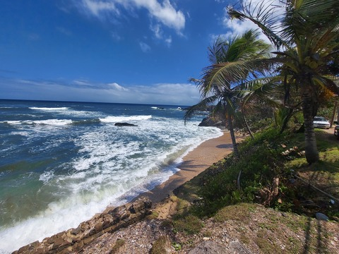 Header of islandgirlmixed