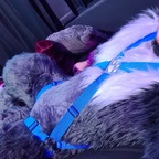 jaro-wolf-fox-ad OnlyFans Leaked 

 profile picture
