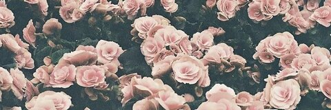 Header of lalalam