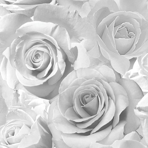 Header of lilbaby701