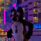View matthewfoxbe (Matthew The Fox) OnlyFans 77 Photos and 55 Videos for free 

 profile picture