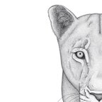 Onlyfans leaked nalla_the_lioness 

 profile picture