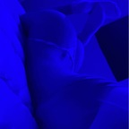 View sarahmiller8 OnlyFans videos and photos for free 

 profile picture