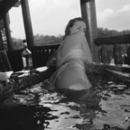 View sugarbaby.cvm (baby) OnlyFans 49 Photos and 32 Videos for free 

 profile picture