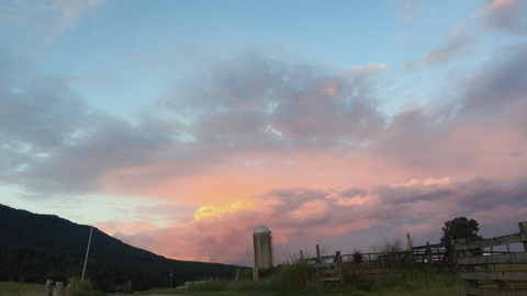 Header of thatonebitch