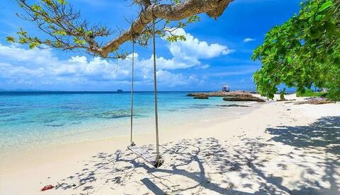 Header of u152402933