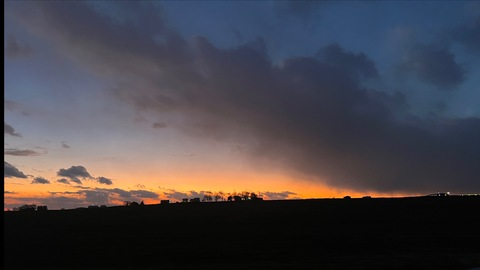 Header of u292816964