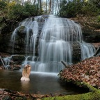 waterfallbutts OnlyFans Leak 

 profile picture